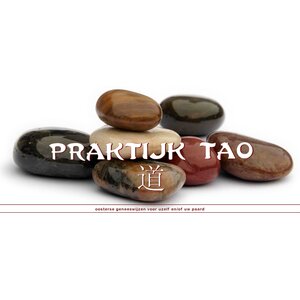 Praktijk Tao logo