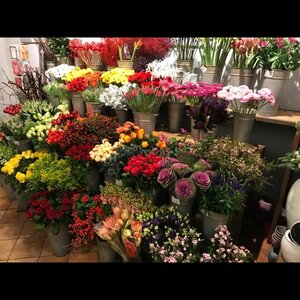 Bloembinderij van der Maat image 2