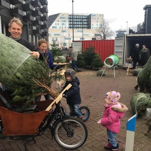 Kerstboom Amsterdam image 3