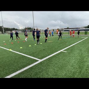 Stormvogels ijvv image 3