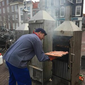 Visspecialist de Dolfijn image 1