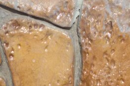 Onkruid groeit door ondanks corona