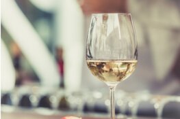 WijnSpijs Wandeling Den Haag 