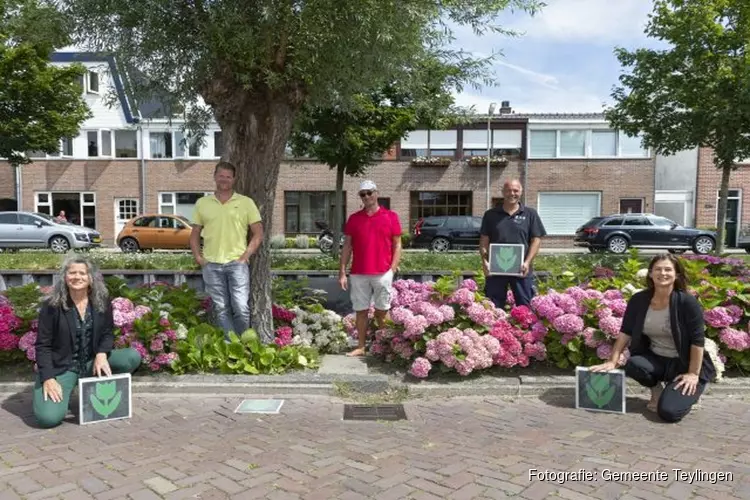Adopteer een stukje groen!
