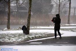 Winterse zondag in beeld