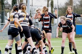 Winst voor RC Waterland heren en Blue Waves/Bassets dames