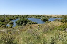 Wassenaar – Een prachtige route door de natuur. RS`80 organiseert wandeltocht op 18 november