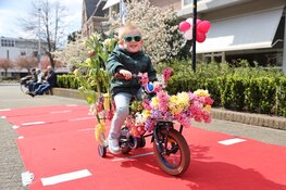 De inschrijving voor het Kindercorso Lisse is geopend!