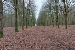 Minder natuur- en bosgebied in Nederland