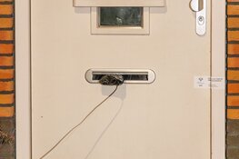 Politie onderzoekt verband explosies Leiden, Sassenheim en Voorhout