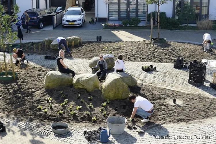 Bewoners Allium en Dahlia maken samen hun buurt groener