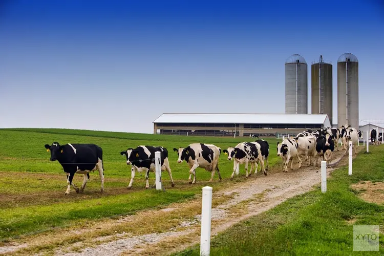 Nieuwe subsidieregeling voor verduurzaming melkveehouderij in Zuid-Holland