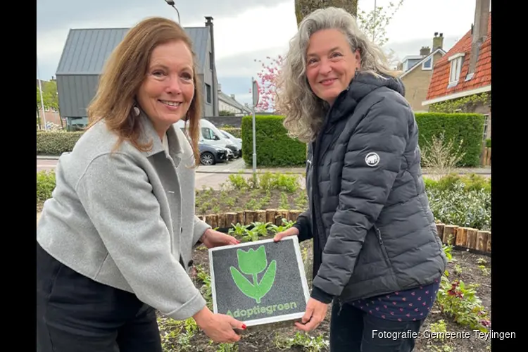Grijs wordt groen, van plein naar plantsoen