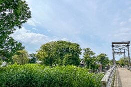 Denk mee over 300 extra bomen in Warmond