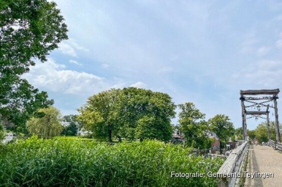 Denk mee over 300 extra bomen in Warmond