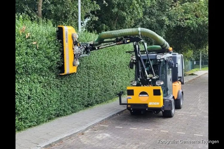 Start werkzaamheden snoeien hagen en overhangend groen