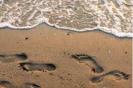 Een mooie en veilige zomer op Koudenhoorn