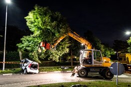 Auto crasht tegen boom in Noordwijkerhout, bestuurder zwaargewond