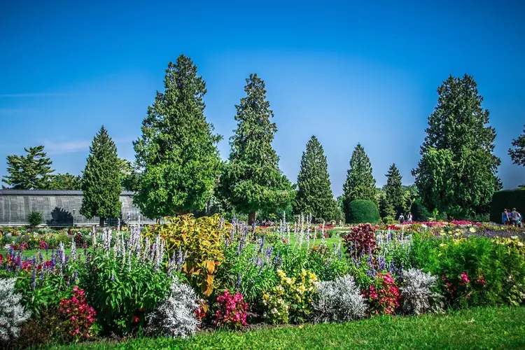 Plantdag Alle Straten Groen