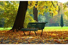 Koudere nachten, overdag rustig herfstweer