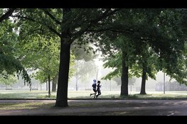 Zuid-Hollanders steeds minder actief: minder dan helft voldoet aan beweegrichtlijn