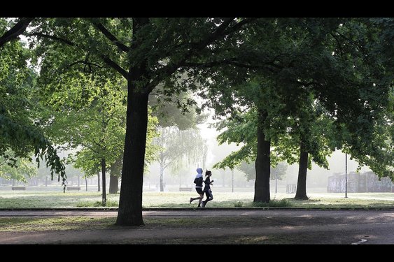 Zuid-Hollanders steeds minder actief: minder dan helft voldoet aan beweegrichtlijn