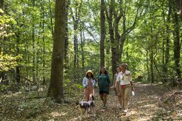 De natuur in? Zo ontdek je meer